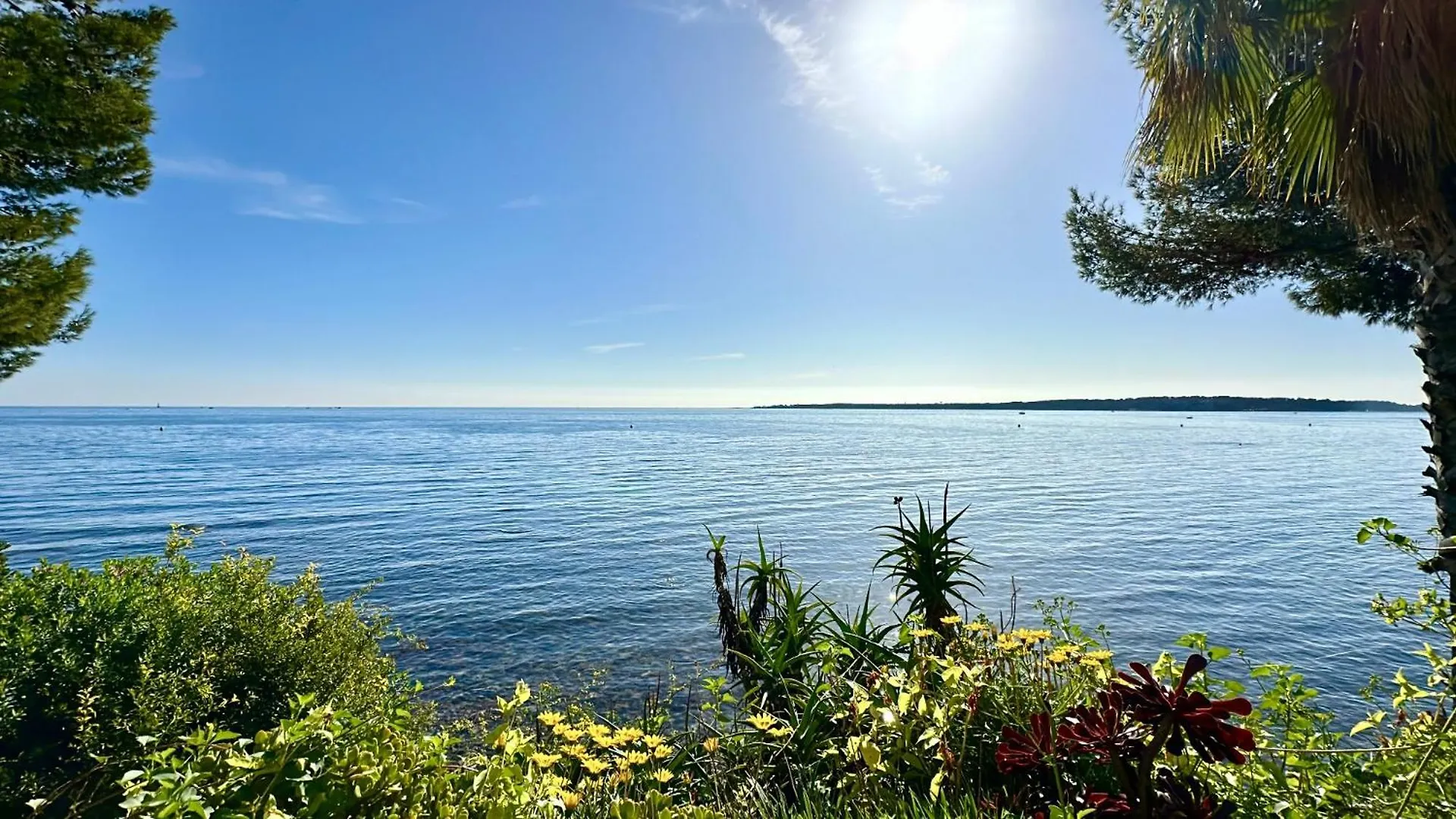 Appartamento Adriana By Terry'S Homes Waterfront Seaview Beach Cannes Francia