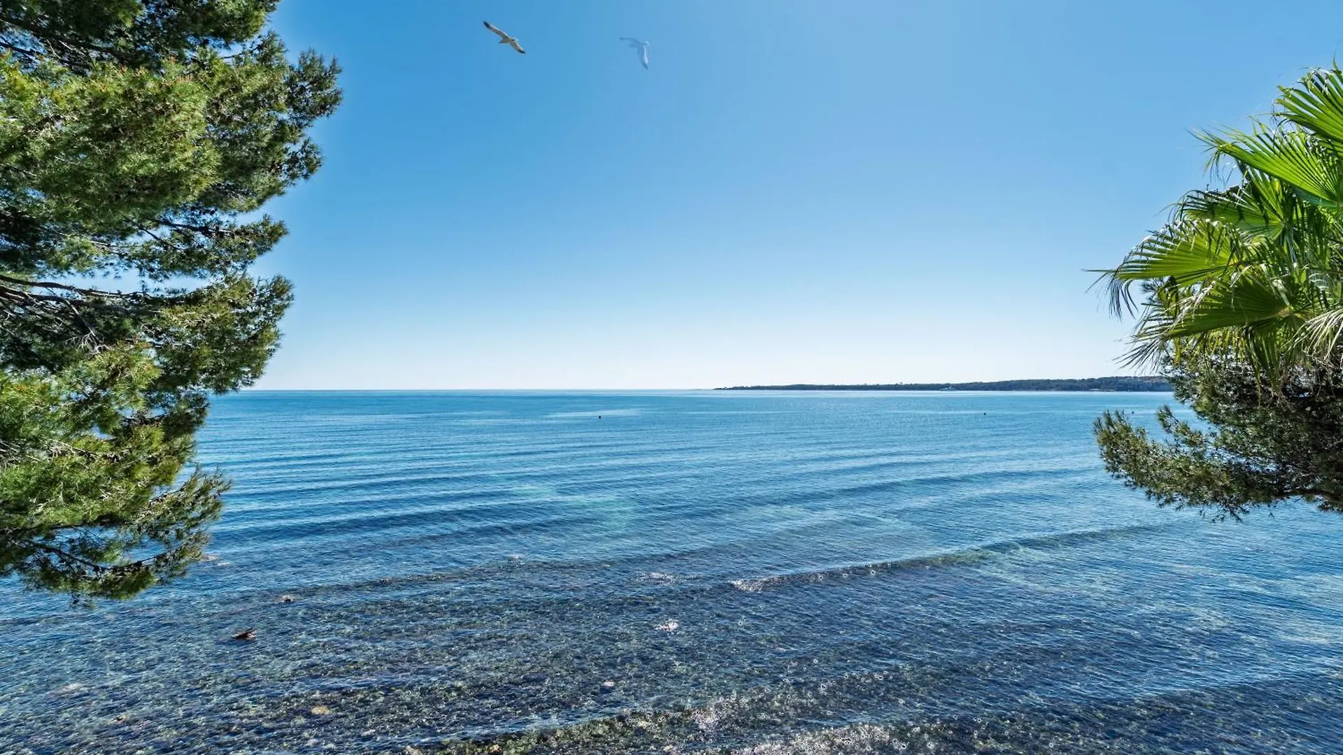 Apartment Adriana By Terry'S Homes Waterfront Seaview Beach Cannes