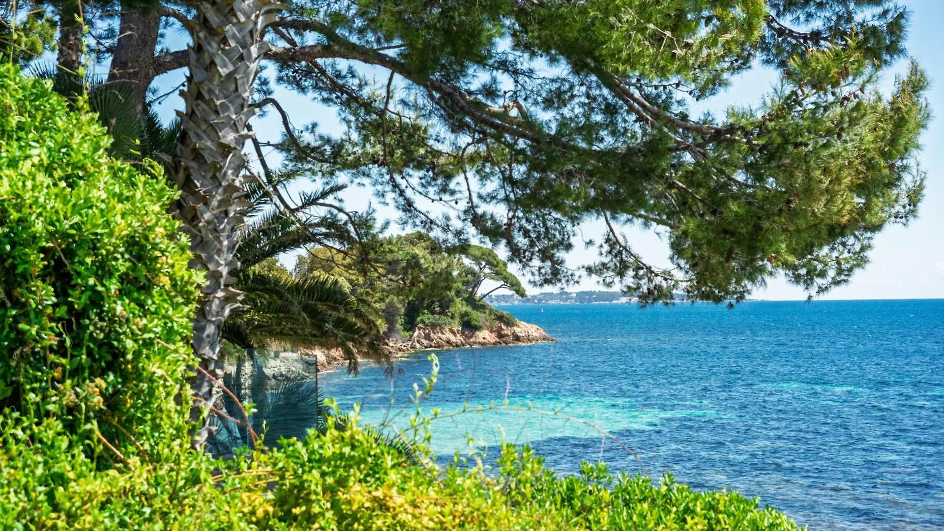 Adriana By Terry'S Homes Waterfront Seaview Beach Cannes